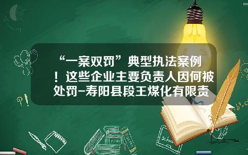 “一案双罚”典型执法案例！这些企业主要负责人因何被处罚-寿阳县段王煤化有限责任公司