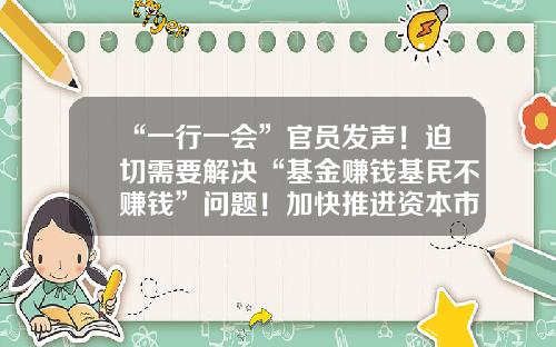 “一行一会”官员发声！迫切需要解决“基金赚钱基民不赚钱”问题！加快推进资本市场投资端改革-基金智能投顾