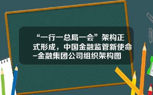 “一行一总局一会”架构正式形成，中国金融监管新使命-金融集团公司组织架构图