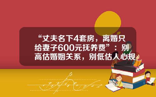 “丈夫名下4套房，离婚只给妻子600元抚养费”：别高估婚姻关系，别低估人心规则-百万年薪要支付多少抚养费
