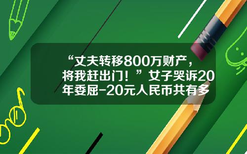 “丈夫转移800万财产，将我赶出门！”女子哭诉20年委屈-20元人民币共有多少套
