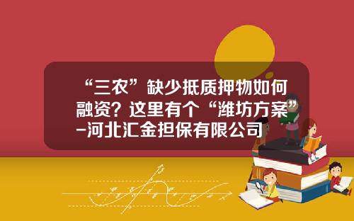 “三农”缺少抵质押物如何融资？这里有个“潍坊方案”-河北汇金担保有限公司