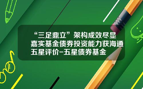 “三足鼎立”架构成效尽显嘉实基金债券投资能力获海通五星评价-五星债券基金