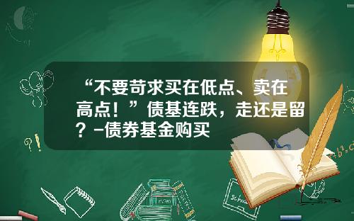 “不要苛求买在低点、卖在高点！”债基连跌，走还是留？-债券基金购买