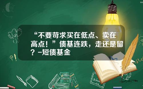 “不要苛求买在低点、卖在高点！”债基连跌，走还是留？-短债基金