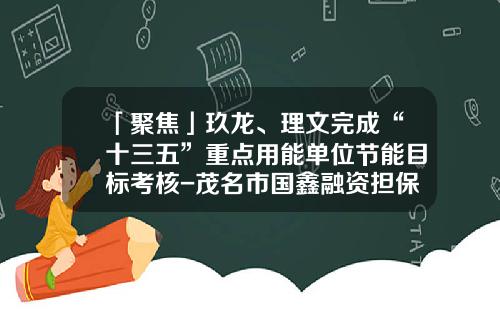 「聚焦」玖龙、理文完成“十三五”重点用能单位节能目标考核-茂名市国鑫融资担保有限公司