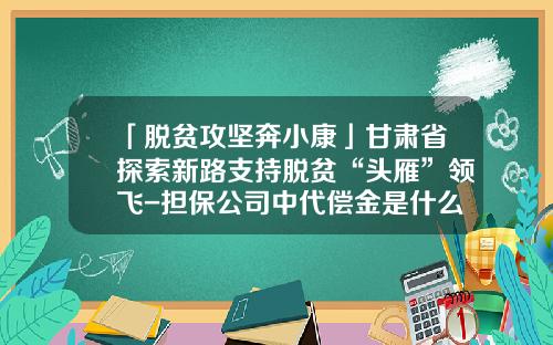 「脱贫攻坚奔小康」甘肃省探索新路支持脱贫“头雁”领飞-担保公司中代偿金是什么意思