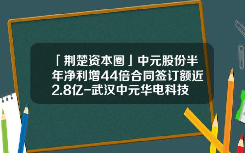 「荆楚资本圈」中元股份半年净利增44倍合同签订额近2.8亿-武汉中元华电科技股份有限公司