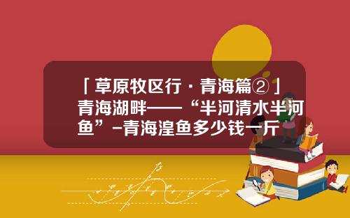 「草原牧区行·青海篇②」青海湖畔——“半河清水半河鱼”-青海湟鱼多少钱一斤