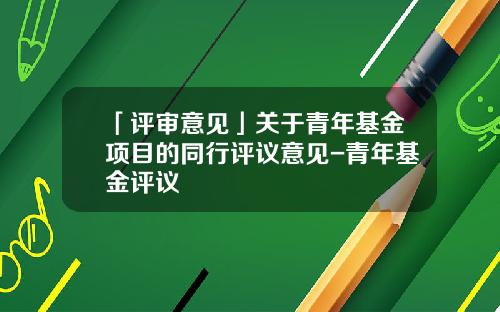 「评审意见」关于青年基金项目的同行评议意见-青年基金评议
