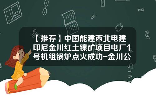【推荐】中国能建西北电建印尼金川红土镍矿项目电厂1号机组锅炉点火成功-金川公司印尼项目