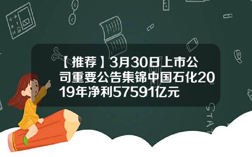 【推荐】3月30日上市公司重要公告集锦中国石化2019年净利57591亿元