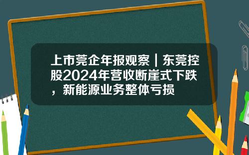 上市莞企年报观察｜东莞控股2024年营收断崖式下跌，新能源业务整体亏损