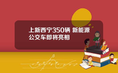 上新西宁350辆 新能源公交车即将亮相