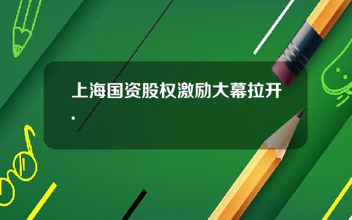 上海国资股权激励大幕拉开.