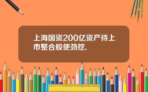 上海国资200亿资产待上市整合股使劲挖.