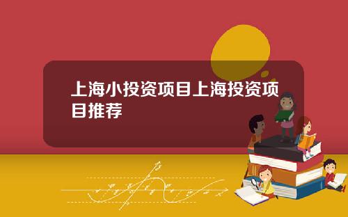 上海小投资项目上海投资项目推荐
