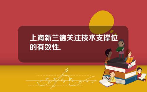 上海新兰德关注技术支撑位的有效性.