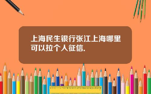 上海民生银行张江上海哪里可以拉个人征信.