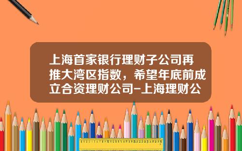 上海首家银行理财子公司再推大湾区指数,希望年底前成立合资理财公司-上海理财公司