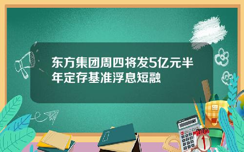 东方集团周四将发5亿元半年定存基准浮息短融
