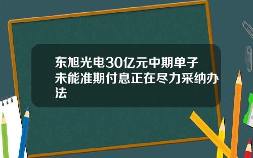 东旭光电30亿元中期单子未能准期付息正在尽力采纳办法