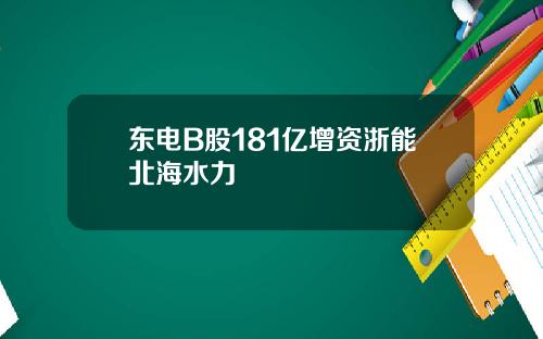 东电B股181亿增资浙能北海水力