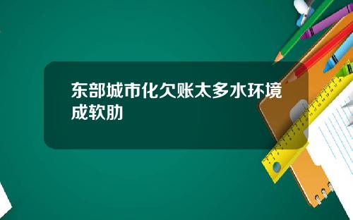 东部城市化欠账太多水环境成软肋