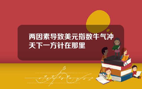 两因素导致美元指数牛气冲天下一方针在那里