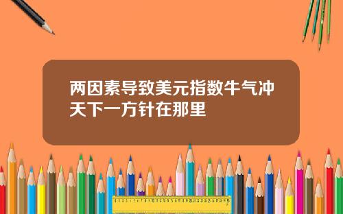 两因素导致美元指数牛气冲天下一方针在那里