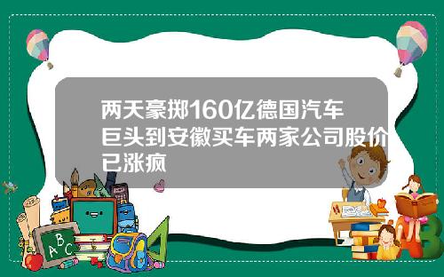 两天豪掷160亿德国汽车巨头到安徽买车两家公司股价已涨疯