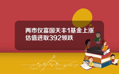 两市仅富国天丰1基金上涨估值进取392领跌
