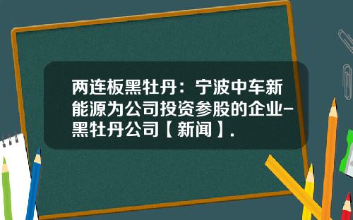 两连板黑牡丹：宁波中车新能源为公司投资参股的企业-黑牡丹公司【新闻】.