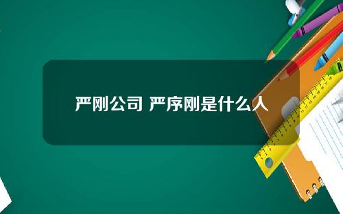 严刚公司 严序刚是什么人