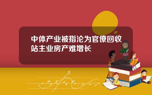 中体产业被指沦为官僚回收站主业房产难增长