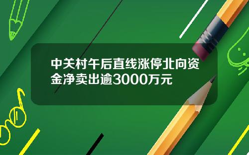 中关村午后直线涨停北向资金净卖出逾3000万元