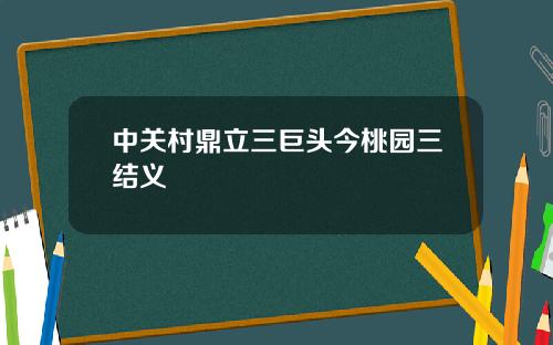 中关村鼎立三巨头今桃园三结义