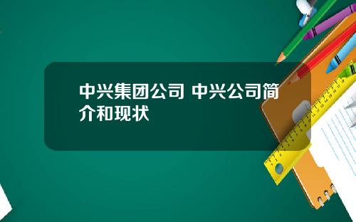 中兴集团公司 中兴公司简介和现状