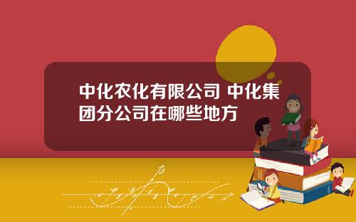 中化农化有限公司 中化集团分公司在哪些地方