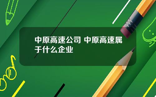 中原高速公司 中原高速属于什么企业