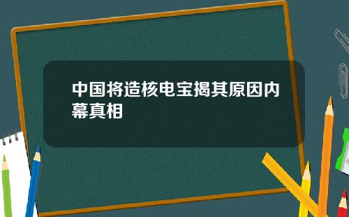 中国将造核电宝揭其原因内幕真相