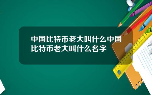 中国比特币老大叫什么中国比特币老大叫什么名字