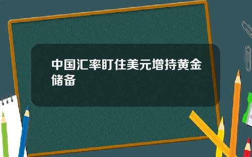中国汇率盯住美元增持黄金储备