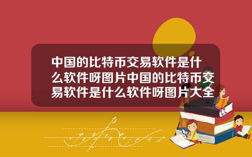 中国的比特币交易软件是什么软件呀图片中国的比特币交易软件是什么软件呀图片大全