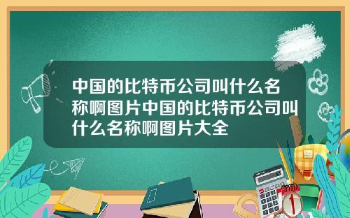 中国的比特币公司叫什么名称啊图片中国的比特币公司叫什么名称啊图片大全