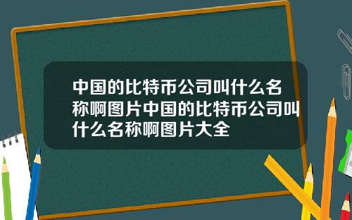 中国的比特币公司叫什么名称啊图片中国的比特币公司叫什么名称啊图片大全
