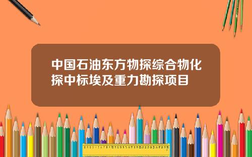中国石油东方物探综合物化探中标埃及重力勘探项目