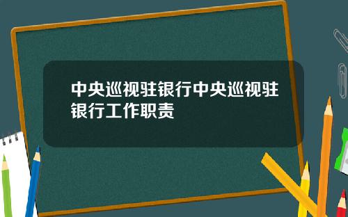 中央巡视驻银行中央巡视驻银行工作职责