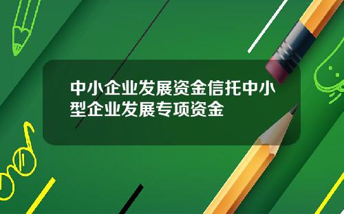 中小企业发展资金信托中小型企业发展专项资金