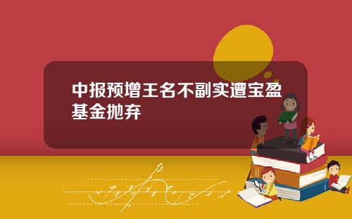 中报预增王名不副实遭宝盈基金抛弃